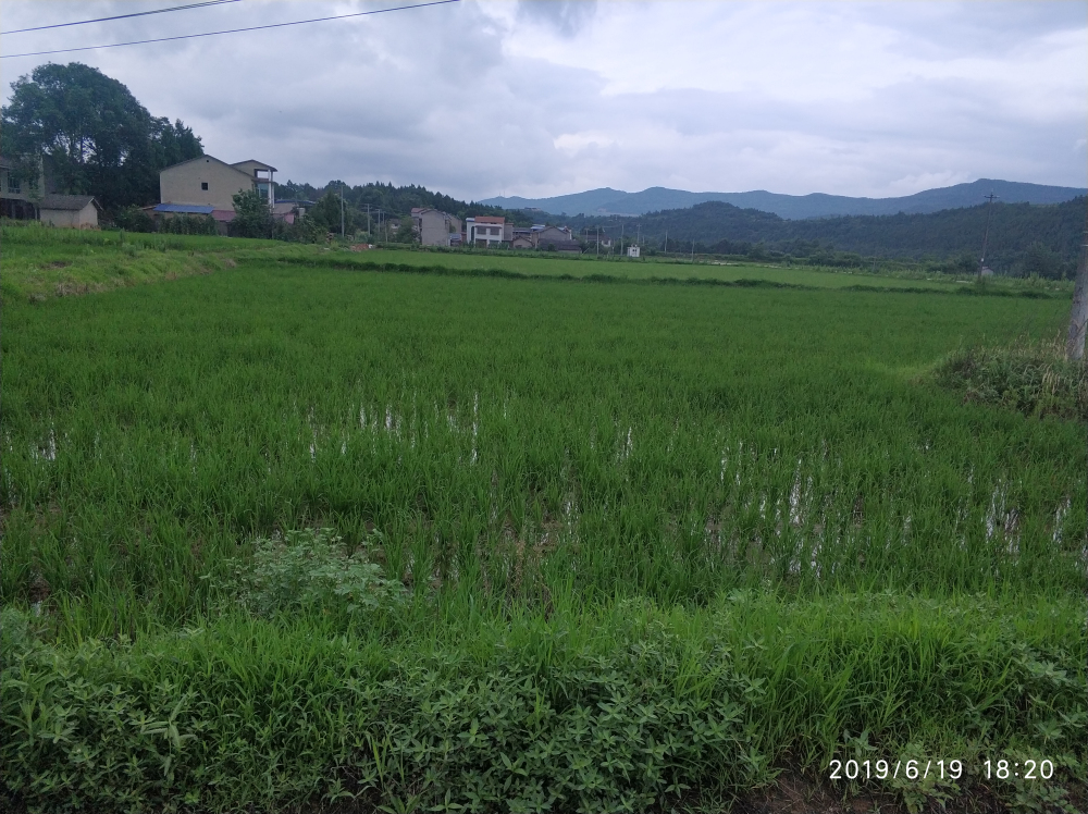 微信图片_20190626162546.jpg