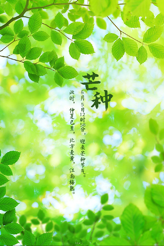 a716fd45ly1gfh1aq1e1kj20n50yqgv2.jpg