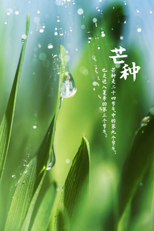 a716fd45ly1gfh1aqrqc3j20n50yqtfn.jpg